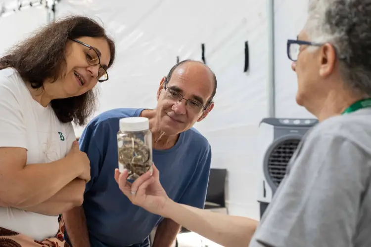Visitantes observam serpente durante atividade da programação de Férias no Butantan