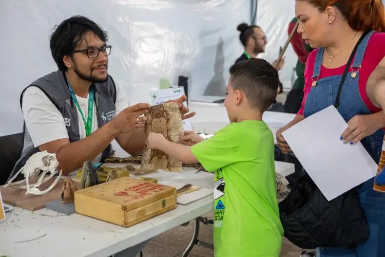 Criança conhece aspecto de pele de serpente durante atividade educativa das Férias no Butantan