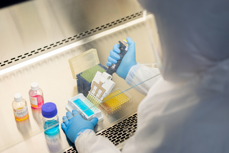 Laboratório do Instituto Butantan