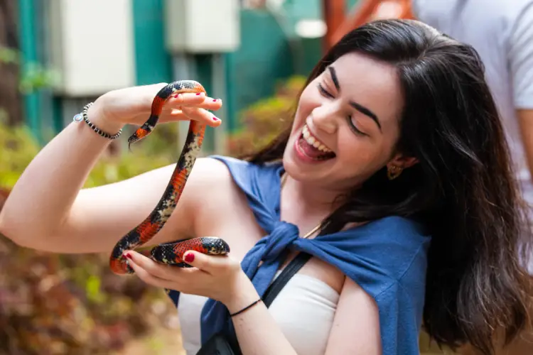 Visitante durante atividade "Mão na Cobra", no Parque da Ciência Butantan