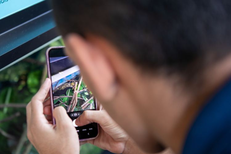 Adolescente tira foto de serpente em terráreo no LEEv