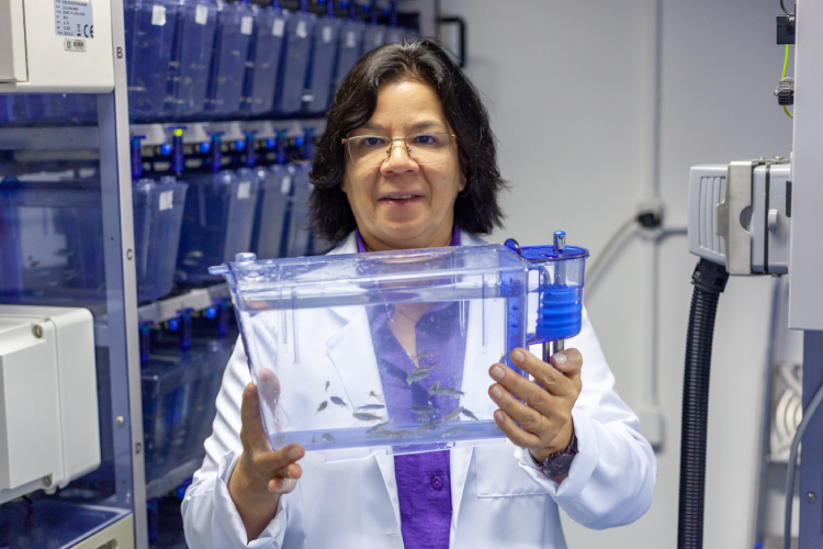 Mônica Lopes-Ferreira na Plataforma Zebrafish