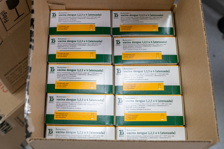 Caixas com embalagens da vacina Butantan-DV