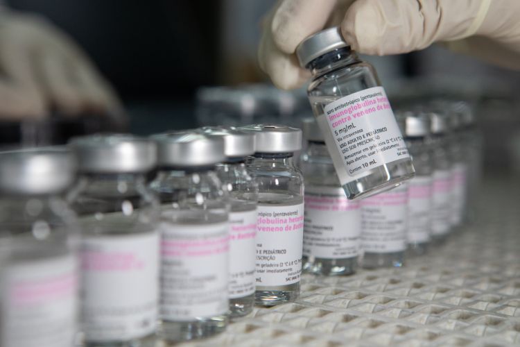 Ampolas de soro antibotrópico em ambiente de fábrica