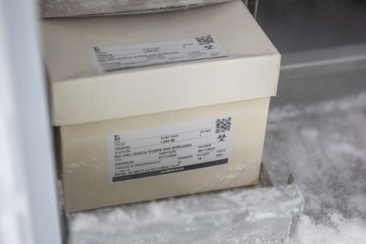 Embalagem com cepa vacinal dentro de um ultrafreezer
