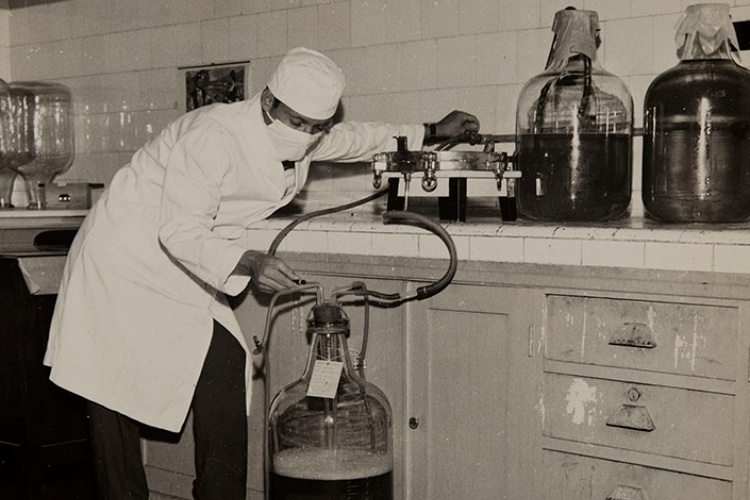 Técnico em ambiente de laboratório