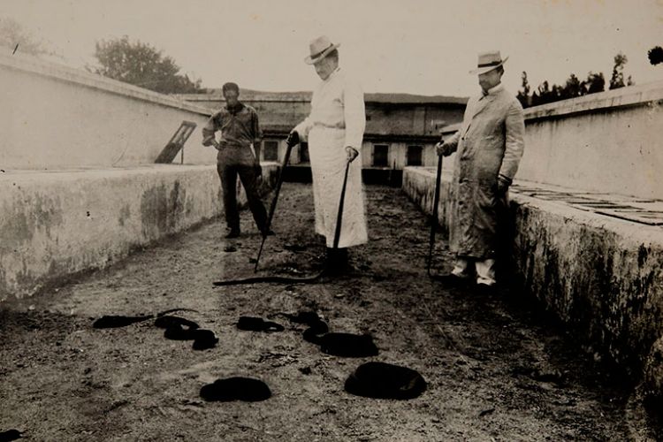 Antigo "cobril" do Instituto Butantan