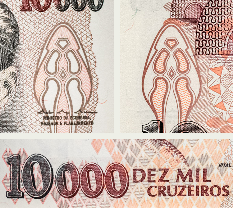 Detalhe da cabeça de urutu-cruzeiro e do fundo com escamas de jararaca