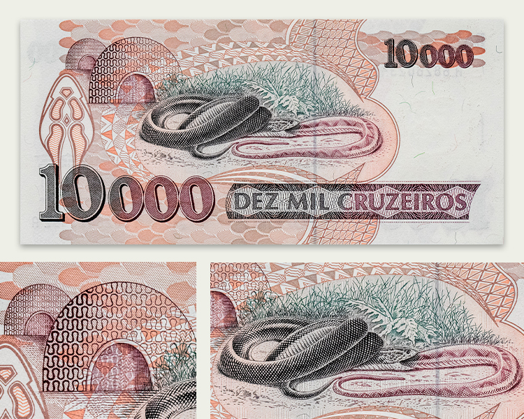 Montagem com detalhes da face posterior da "nota da cobra"