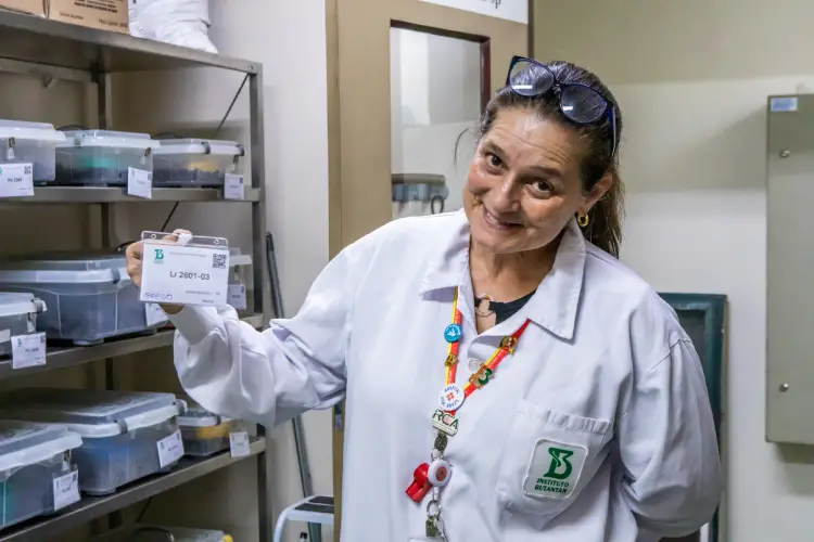 Pesquisadora manuseando serpente em laboratório
