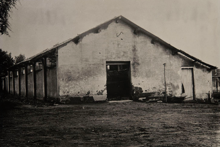 cocheira que abrigou o primeiro laboratório improvisado do Instituto Butantan, 1901