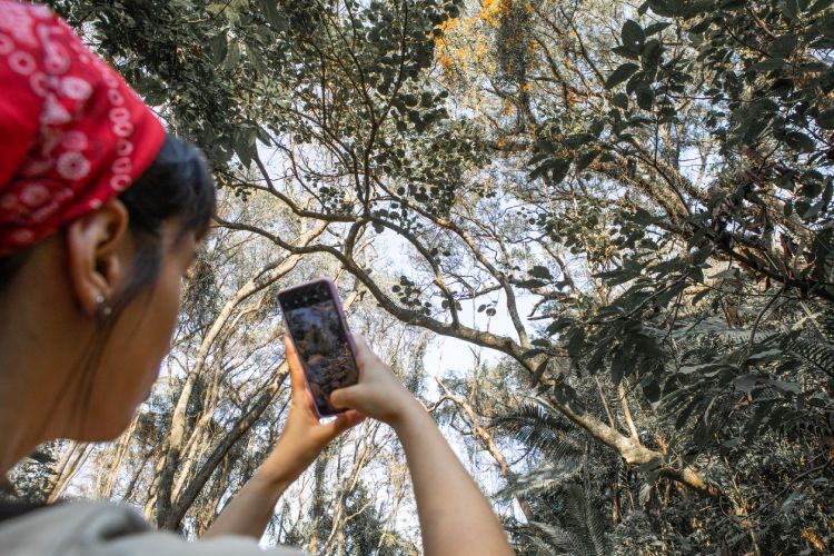 Mulher fotografando a natureza em trilha no Butantan