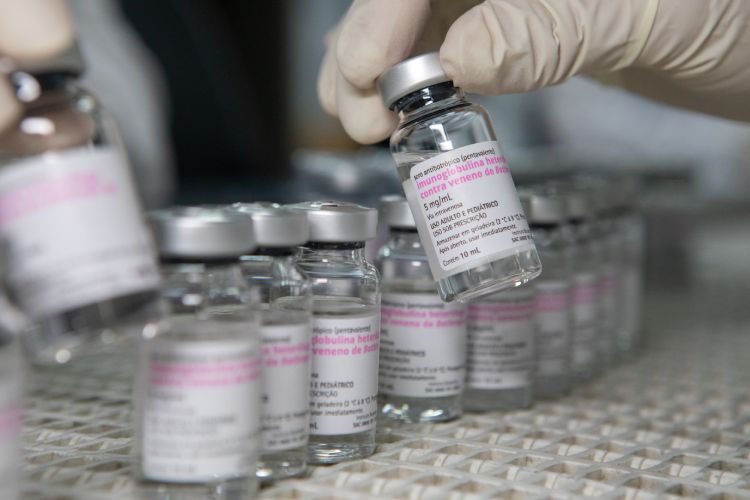 Ampolas de soro antibotrópico do Instituto Butantan