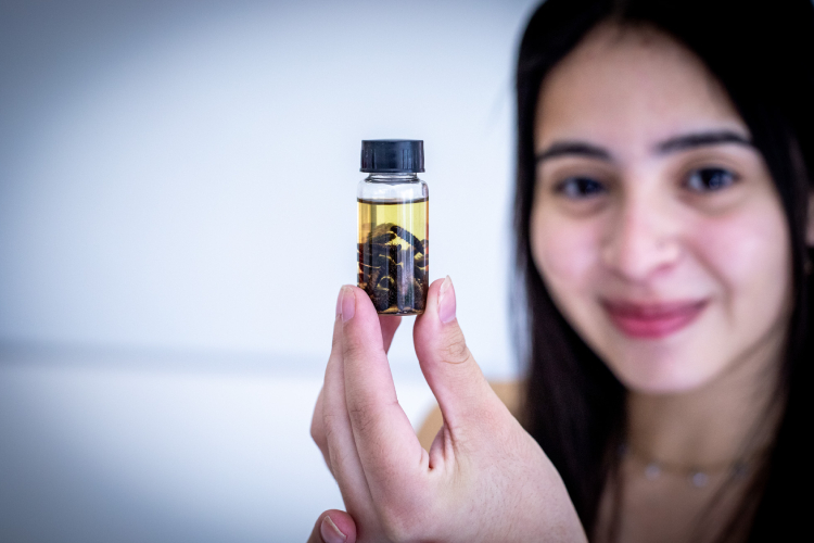 bióloga segurando um pequeno frasco contendo amostras de larvas de besouro, extraídas de cadáver humano para estudo