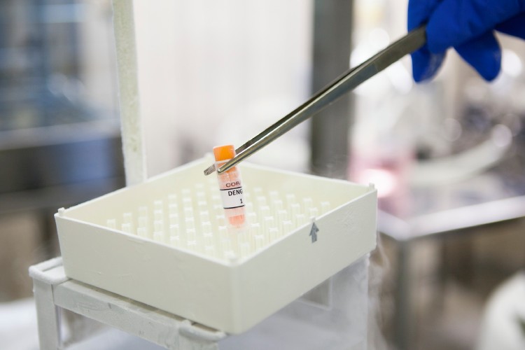 Ampola com sorotipo do vírus da dengue em ambiente de laboratório