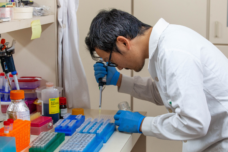 Cientista do Butantan trabalhando em laboratório