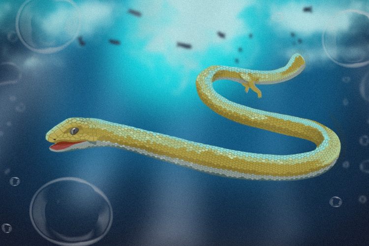 Ilustração de cobra dentro da água com resquício de patas