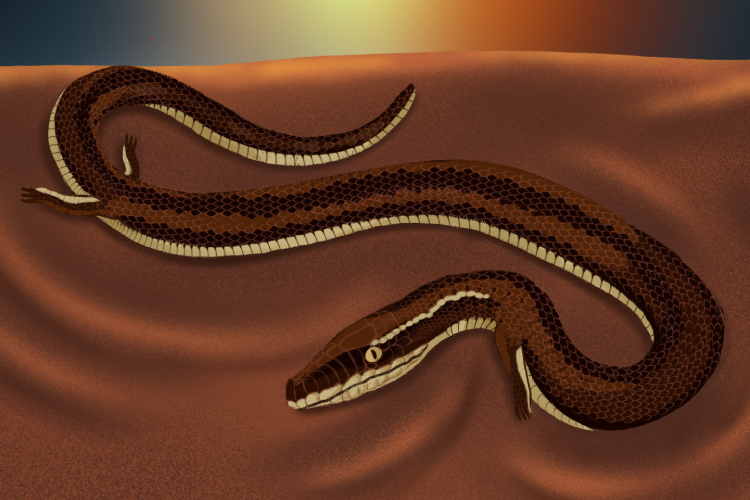 Ilustração de cobra na terra com patas
