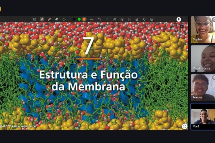 Marcos Paulo em reunião online com a professora Vitória Louise para discutir os capítulos da Biologia de Campbell