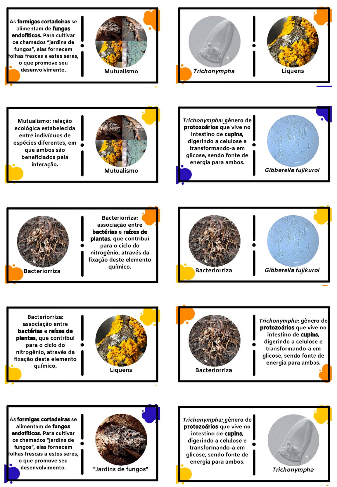 Um dominó para quem quer desvendar o mundo dos micróbios