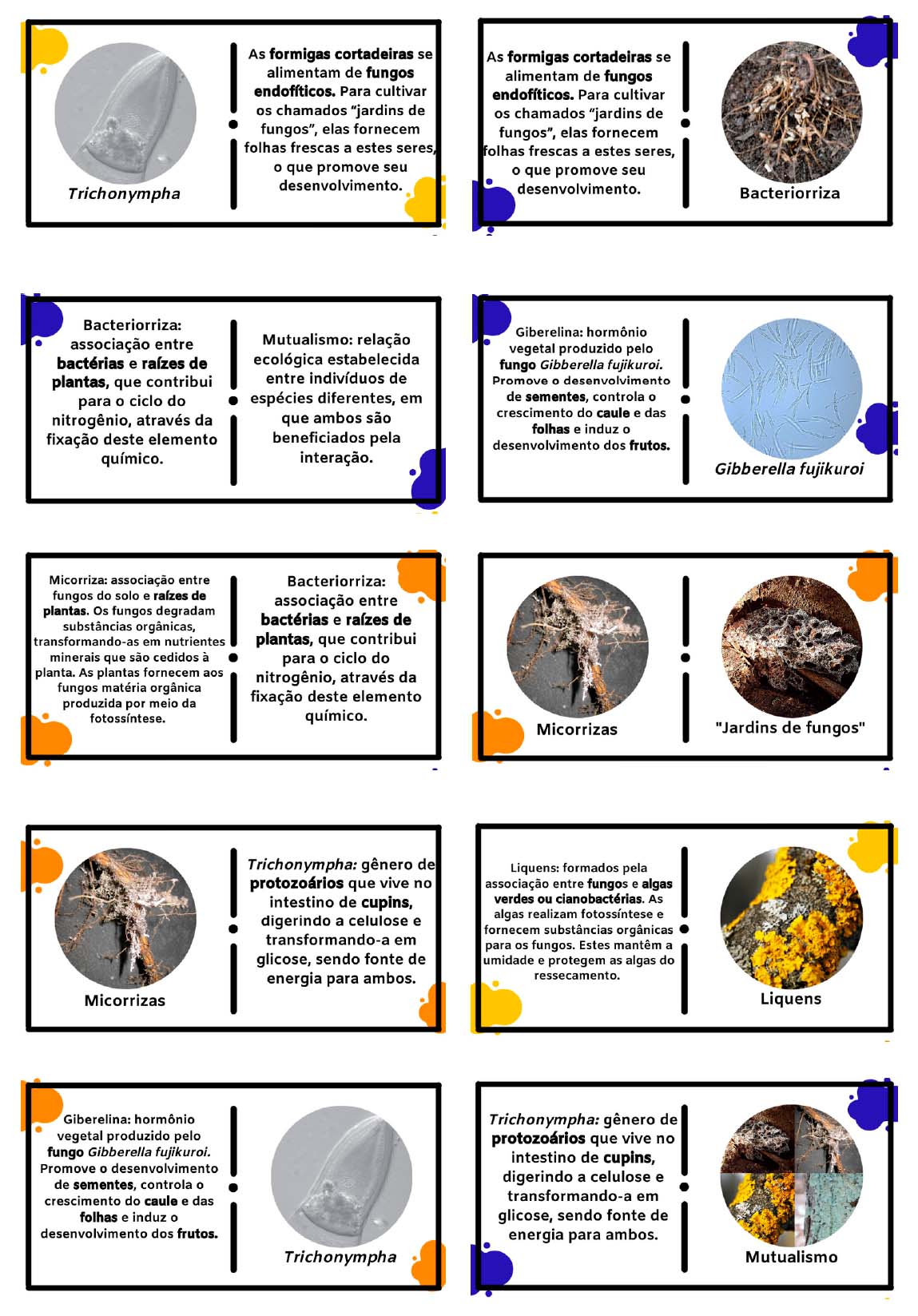 Para imprimir – Biologia – Democratizando Saberes