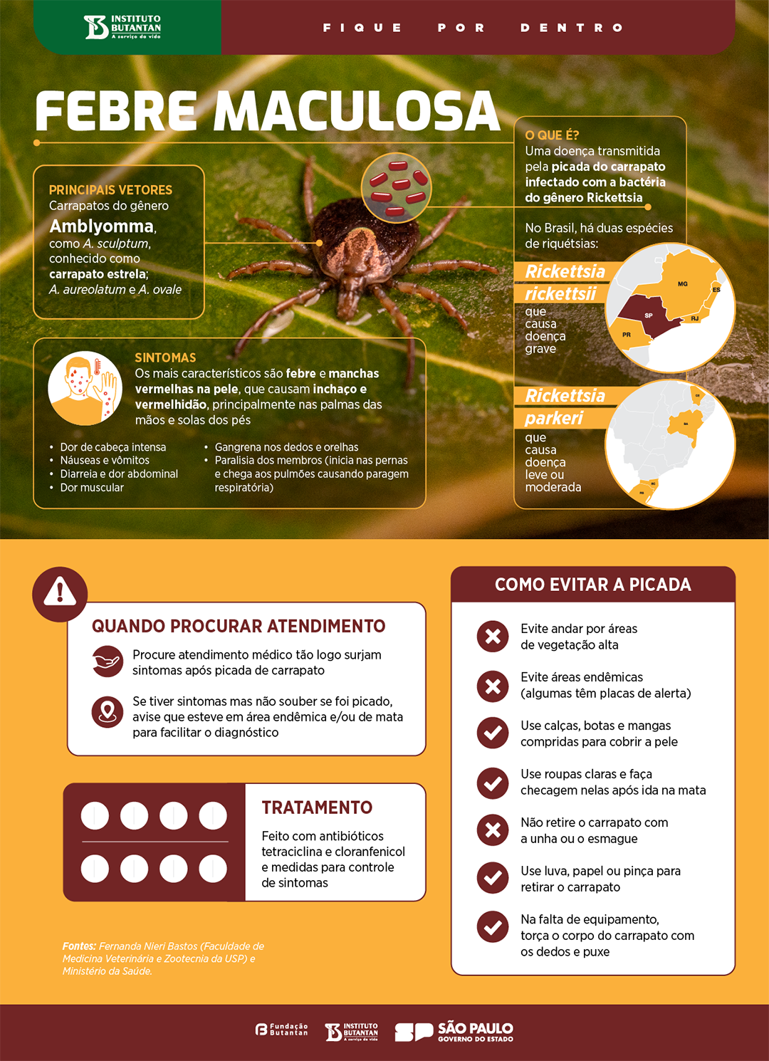 Moscas cosmopolitas: como as mutucas impactam em nossa vida - Instituto  Butantan