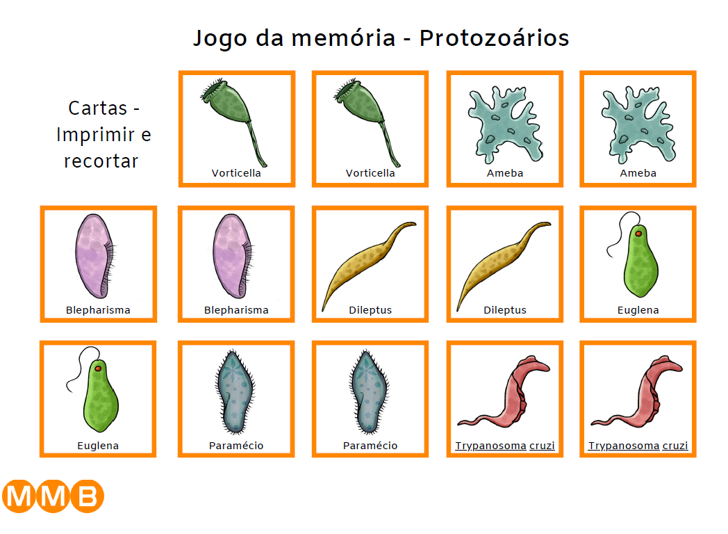 Coronavírus - Jogo da memória